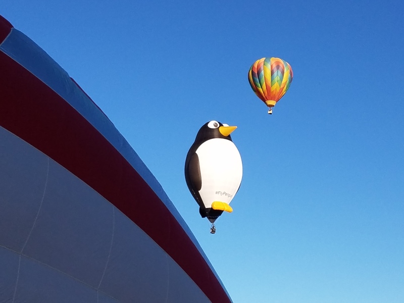 Penguin in the Sky