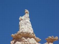 The Queen in Queen's Garden