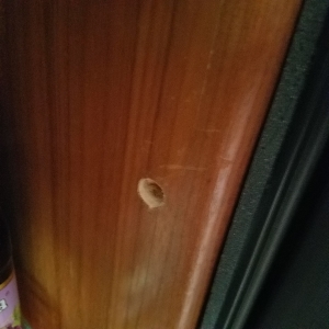 Hole drilled in side of Refrig cabinet so dowel locks in place