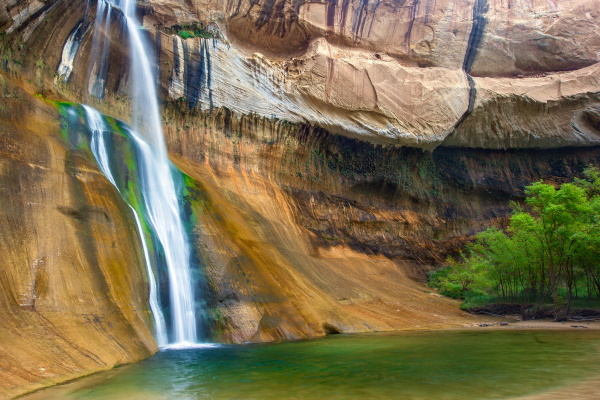 Lower Calf Creek Falls off RT 12 in the Grand Staircase