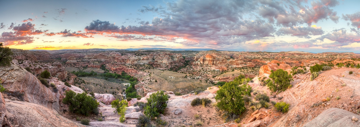 Grand Staircase View