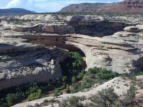 Natural Bridge Natural Bridge