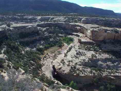 Natural Bridges Area Natural Bridges Area
