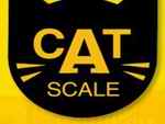 Cat Weigh Scale